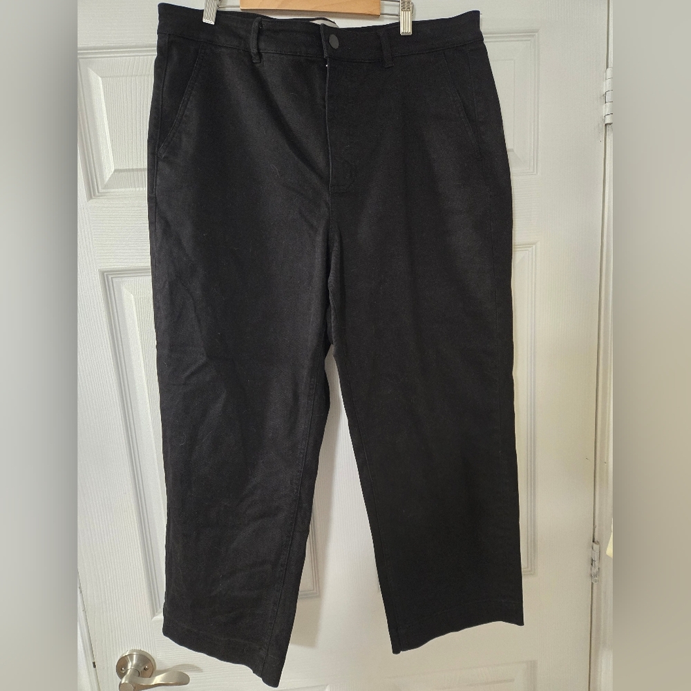 Everlane Cropped Straight Leg Pants